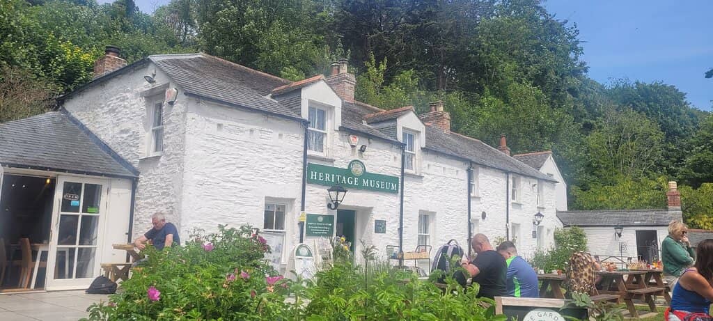 Vibrant Floral Displays