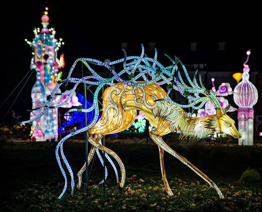 The Eccentric Parrot