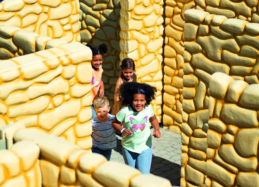 Interactive Rides