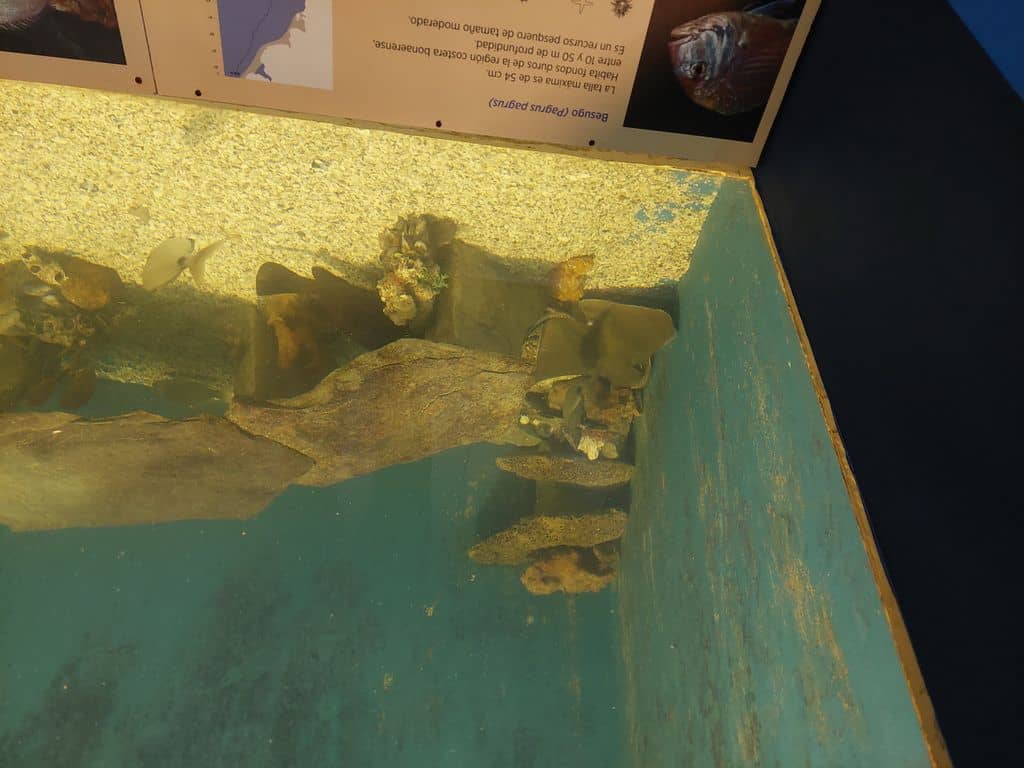 Aquarium Exhibits