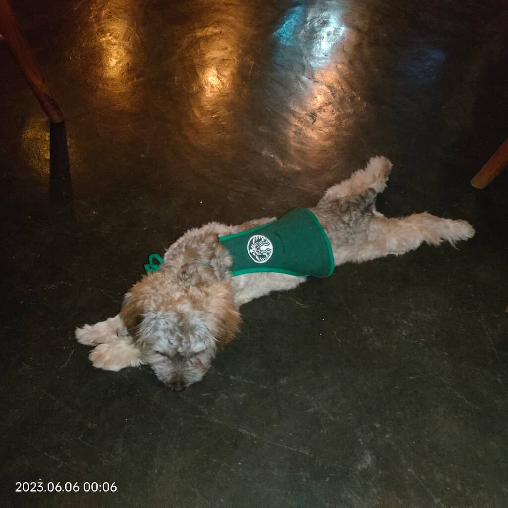 The Hanoi Train Experience