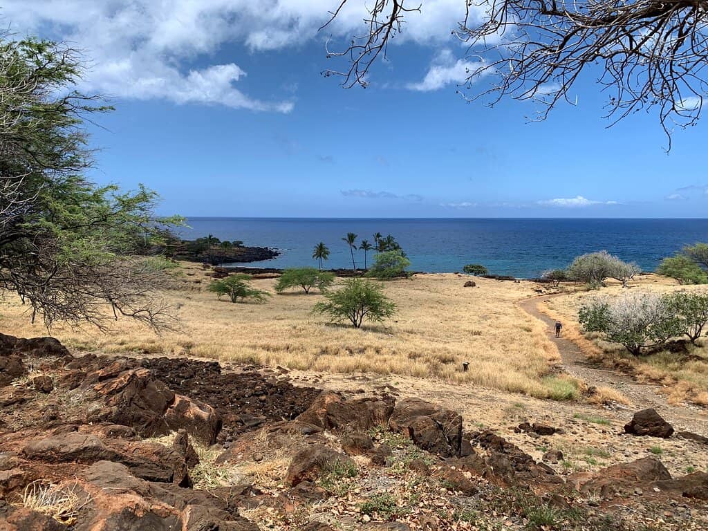 Snorkeling Opportunities