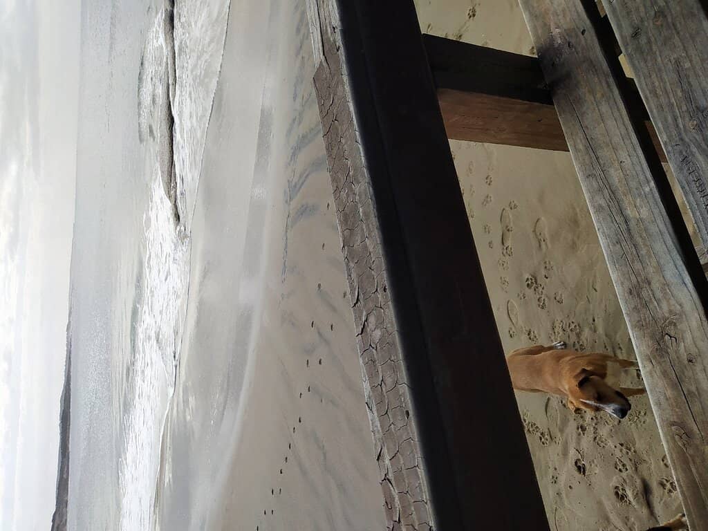 Local Flavors and Treats