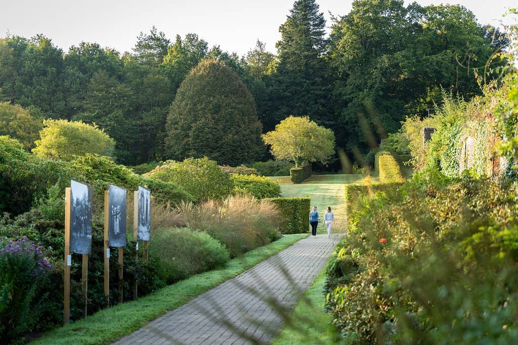 Contemporary Exhibitions