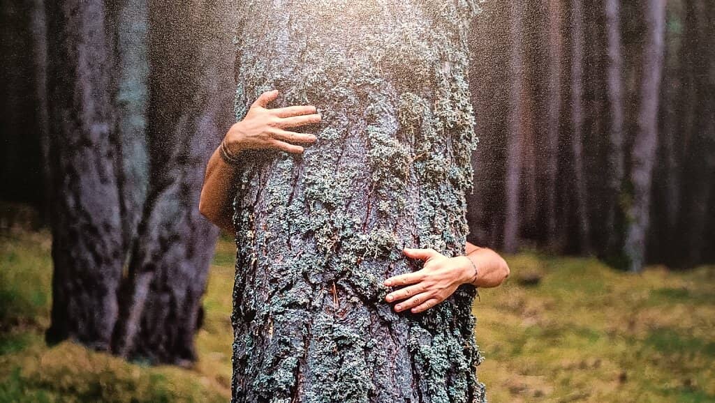 Interactive Electricity Room