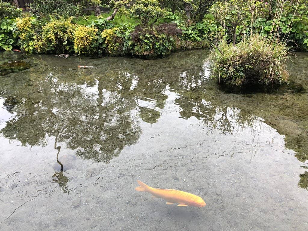 Traditional Japanese Villa