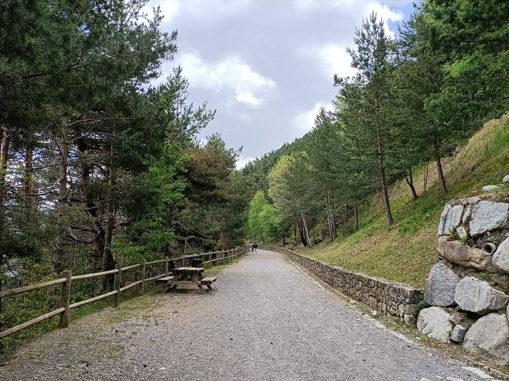 Vertical photo