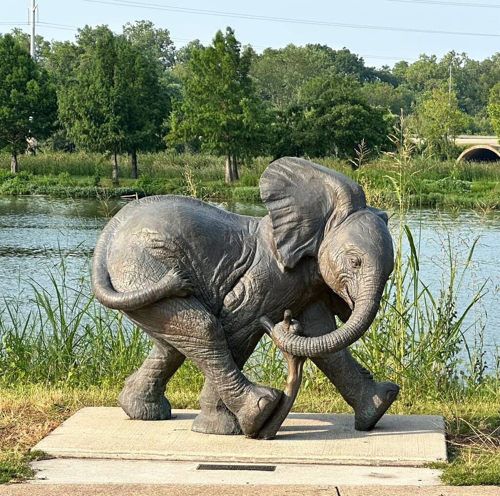 The Thinking Elephant