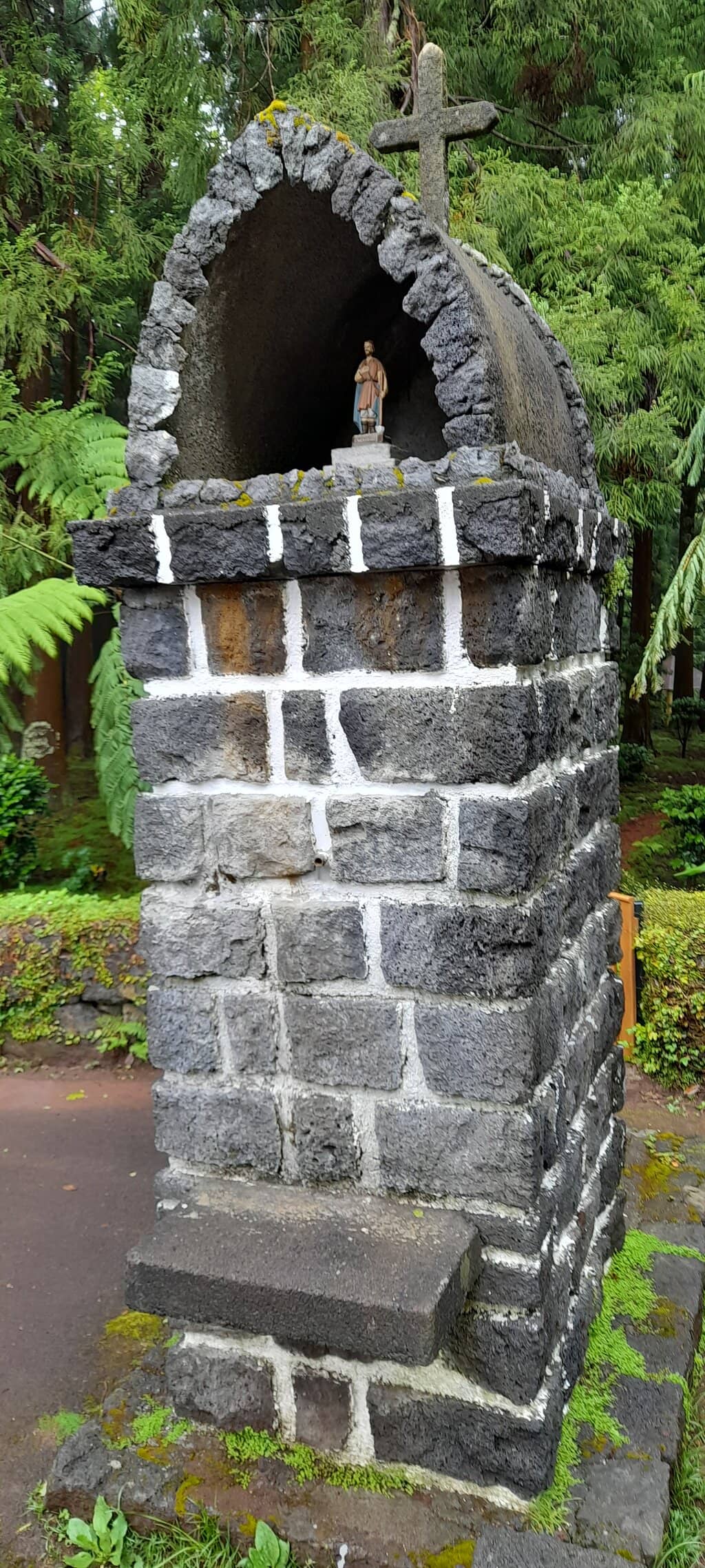 Exuberant Vegetation