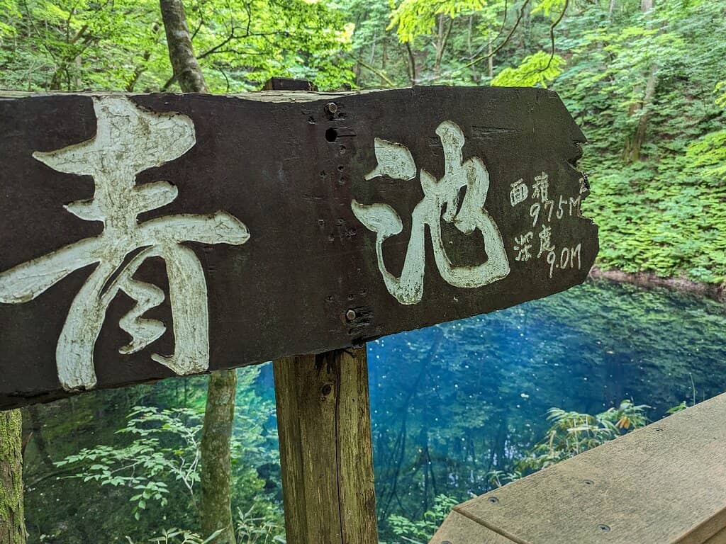 Clear Water Visibility