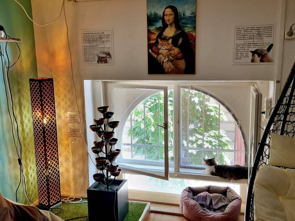 Cat-Themed Art & Exhibits