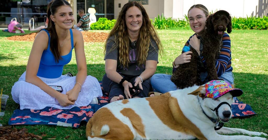 Dinosaur & Reptile Encounters