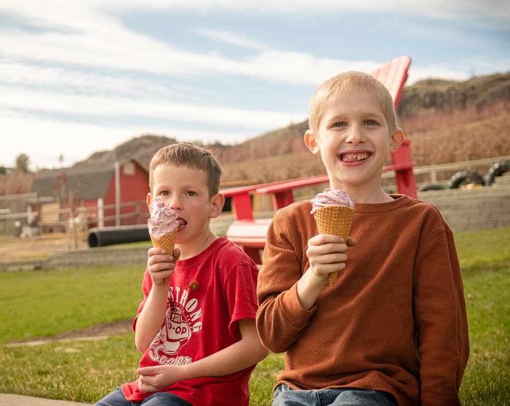 Farm Animals & Play Zones