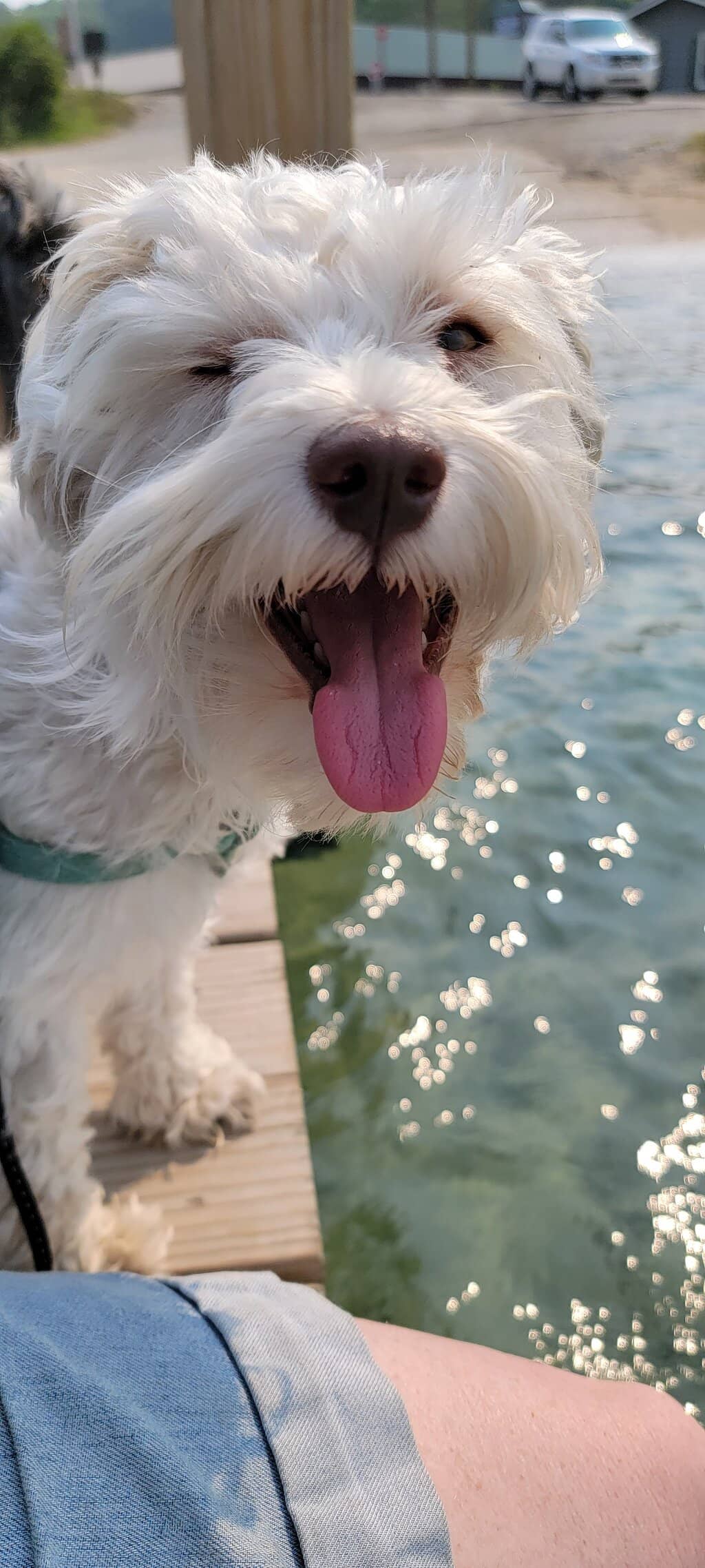 Vertical photo