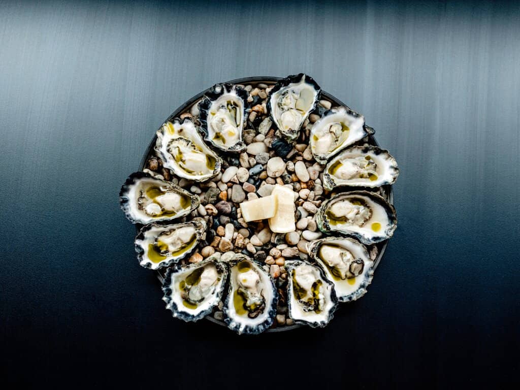 Scenic Garden Setting