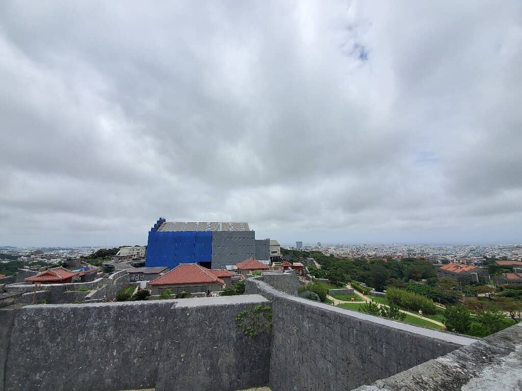 Reconstruction Progress Viewing