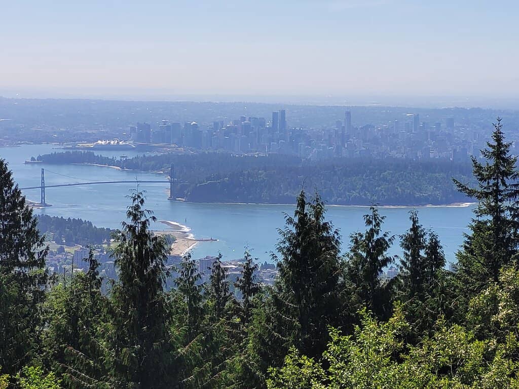 Snowboarding & Skiing