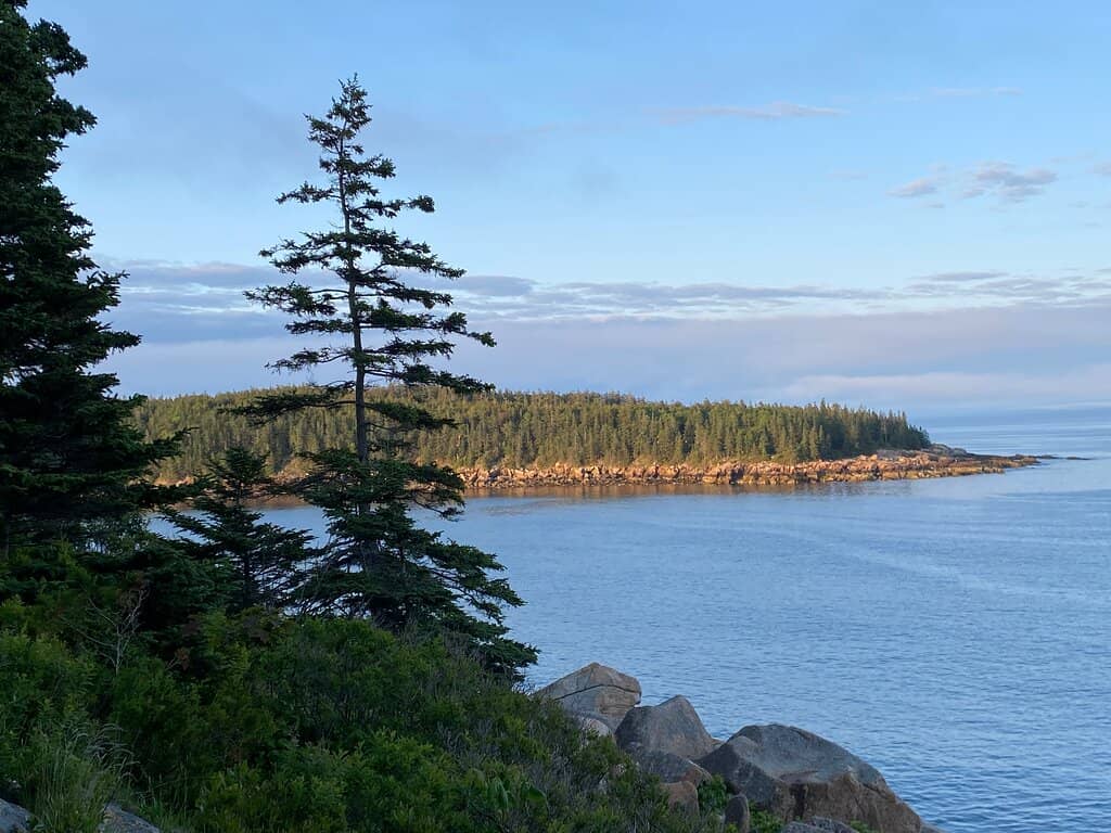 South Ridge Trail Views
