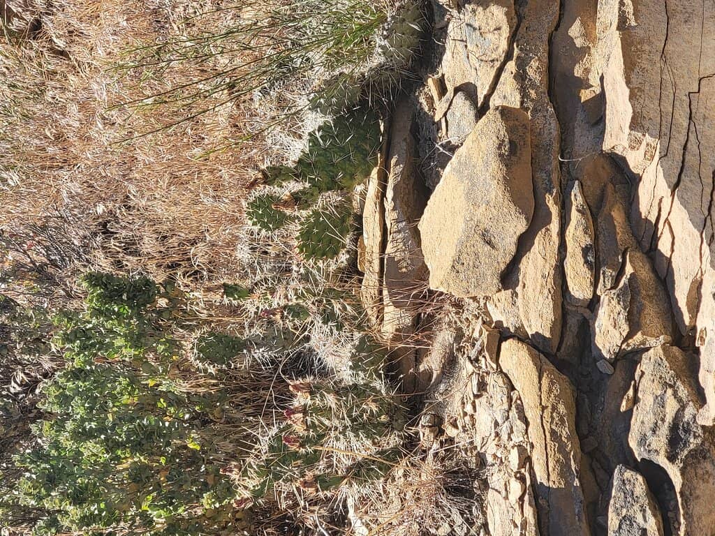 Coal Canyon Trailhead