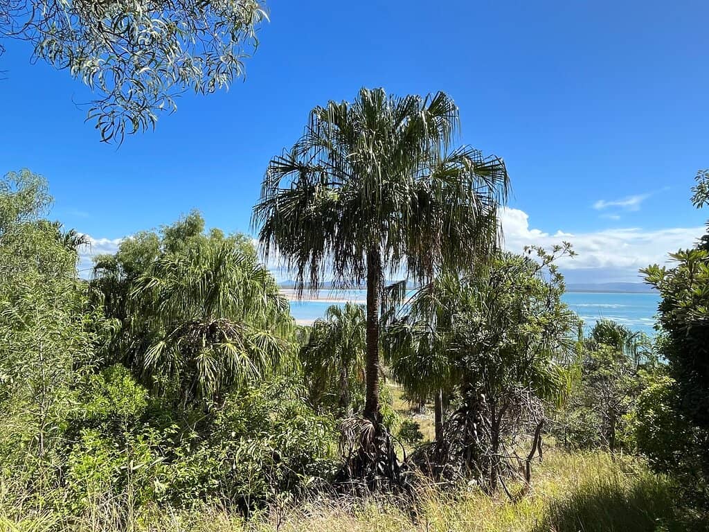 Spectacular Coastline Views