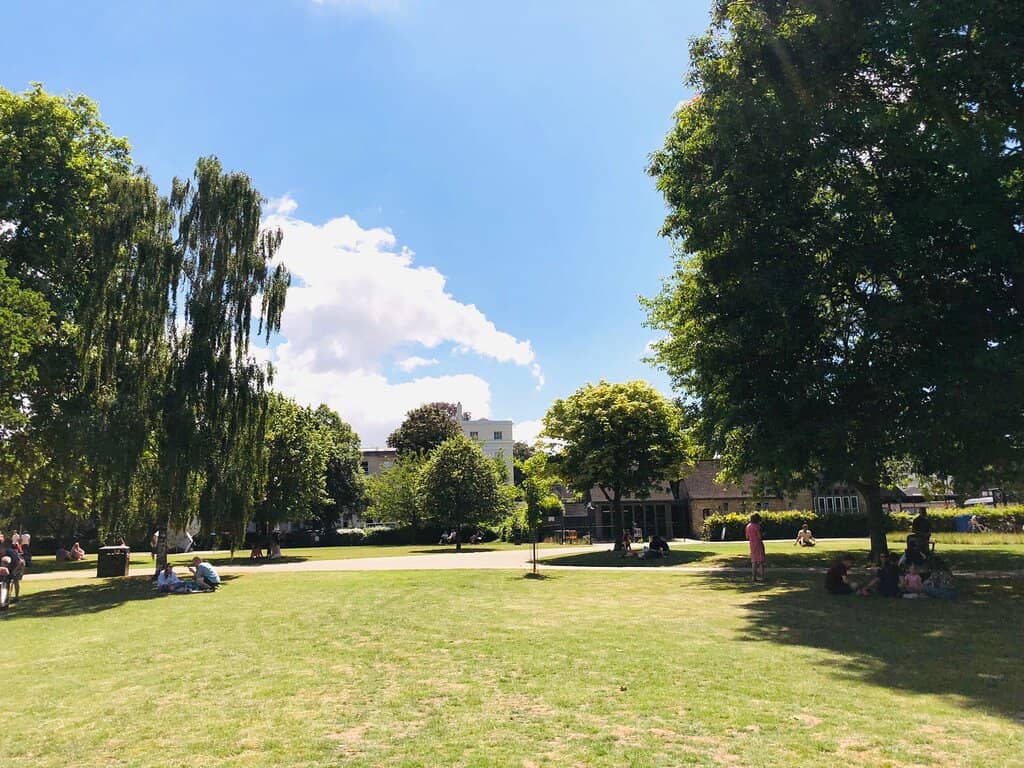 Aviaries and Play Area