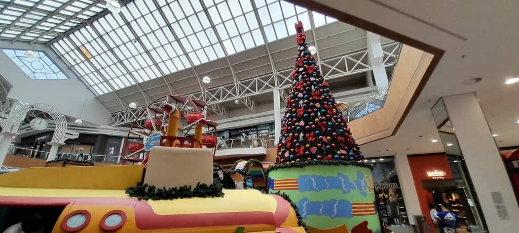 Pet-Friendly Atmosphere