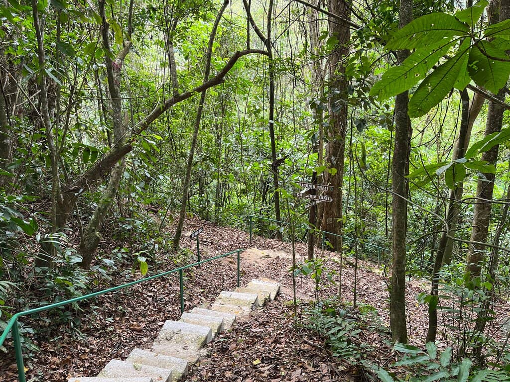 Guided Nature Trails