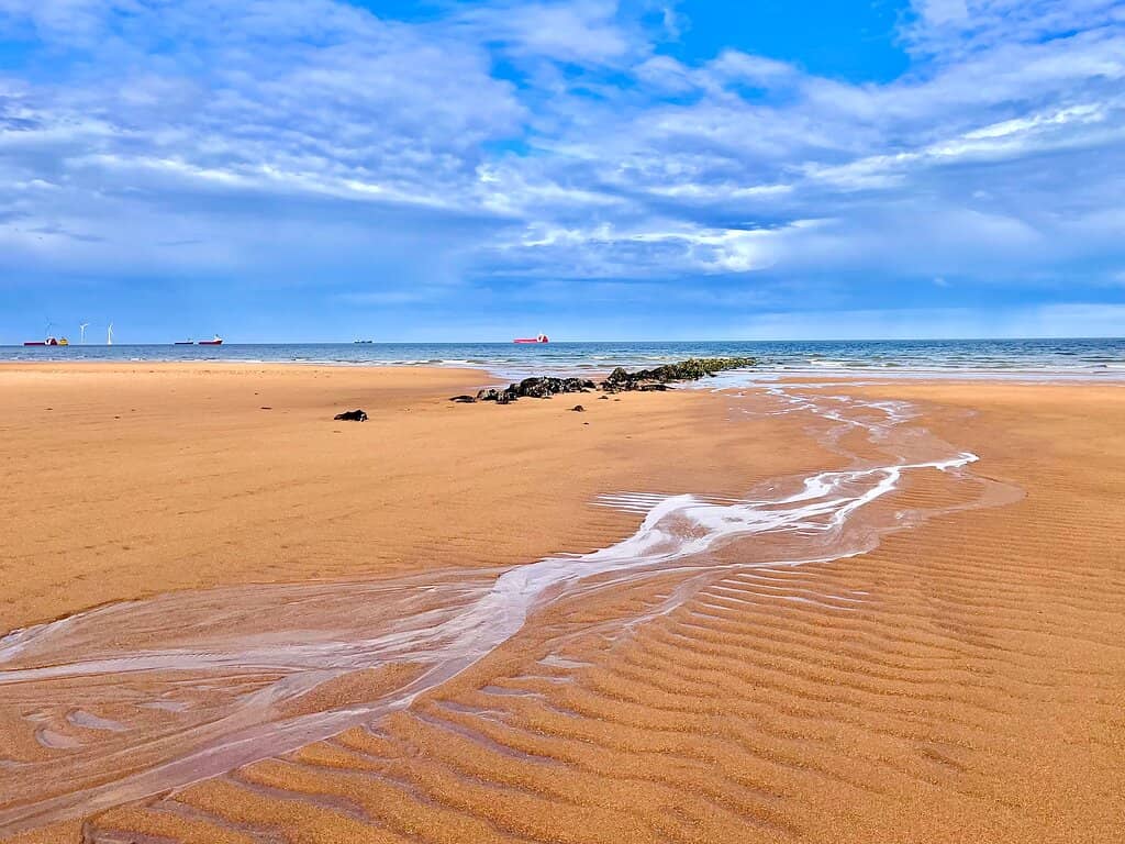 Donmouth Local Nature Reserve