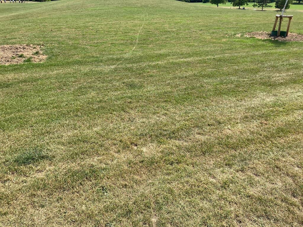 Exotic Plant Collections