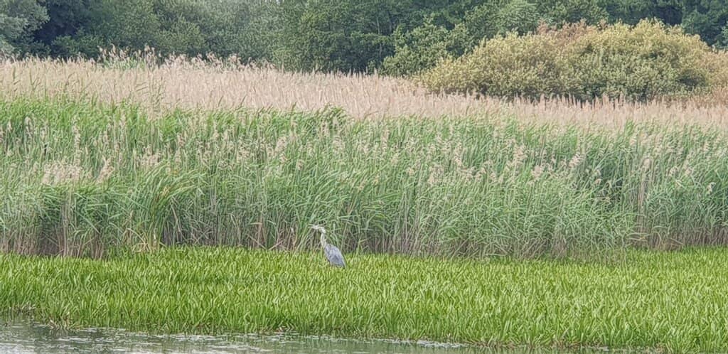 Woodland and Meadow Trails