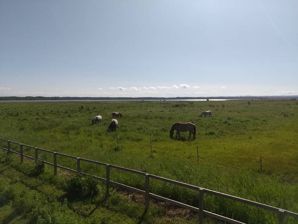 Okhotsk Sea Views