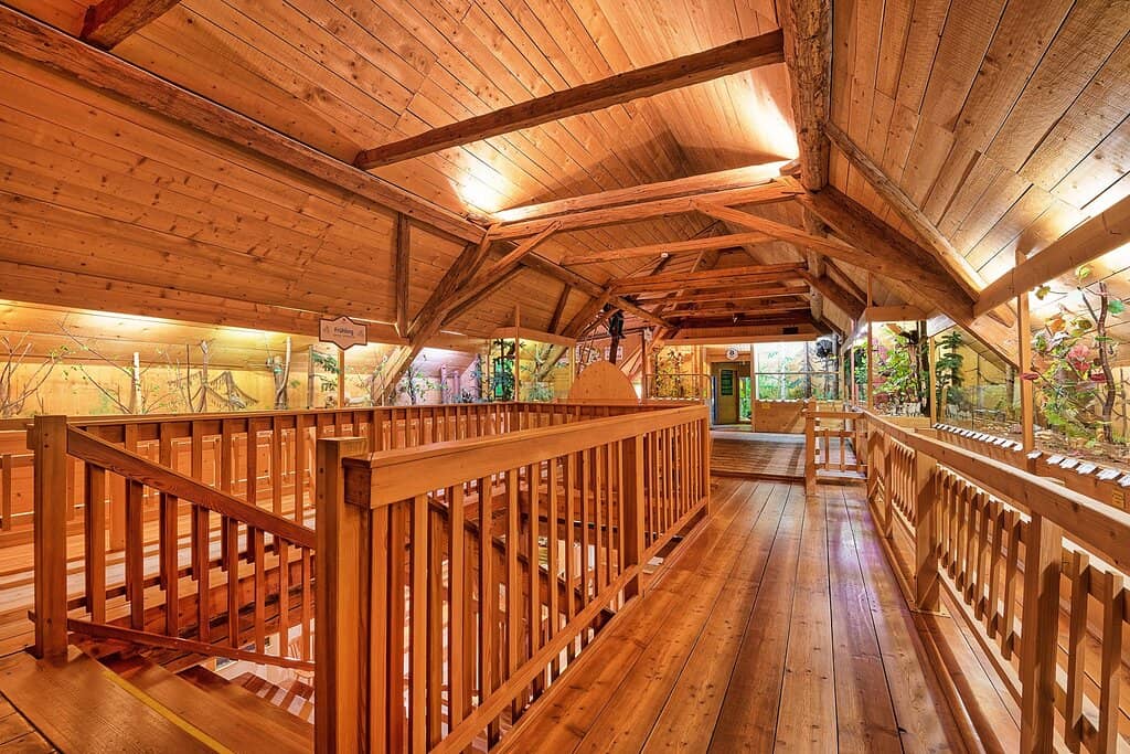 Lifelike Mushroom Recreations