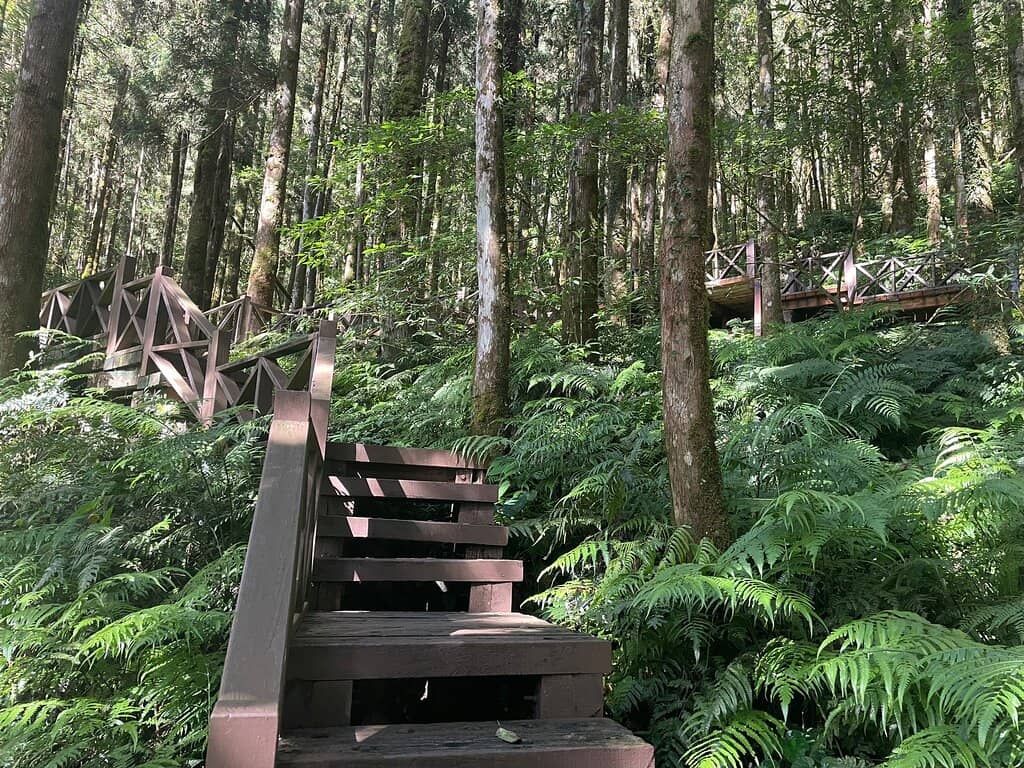 Fairy Tale Walking Trail