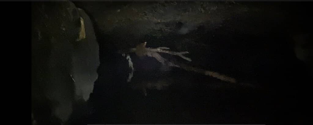 Third hero image