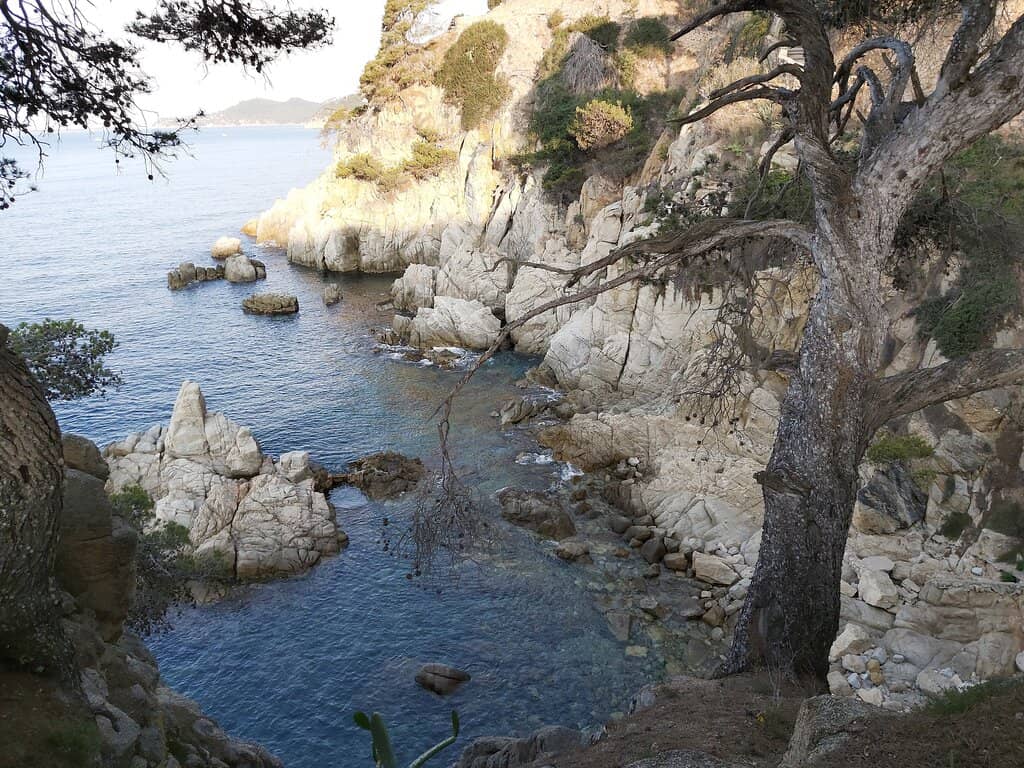 Crystal Clear Waters