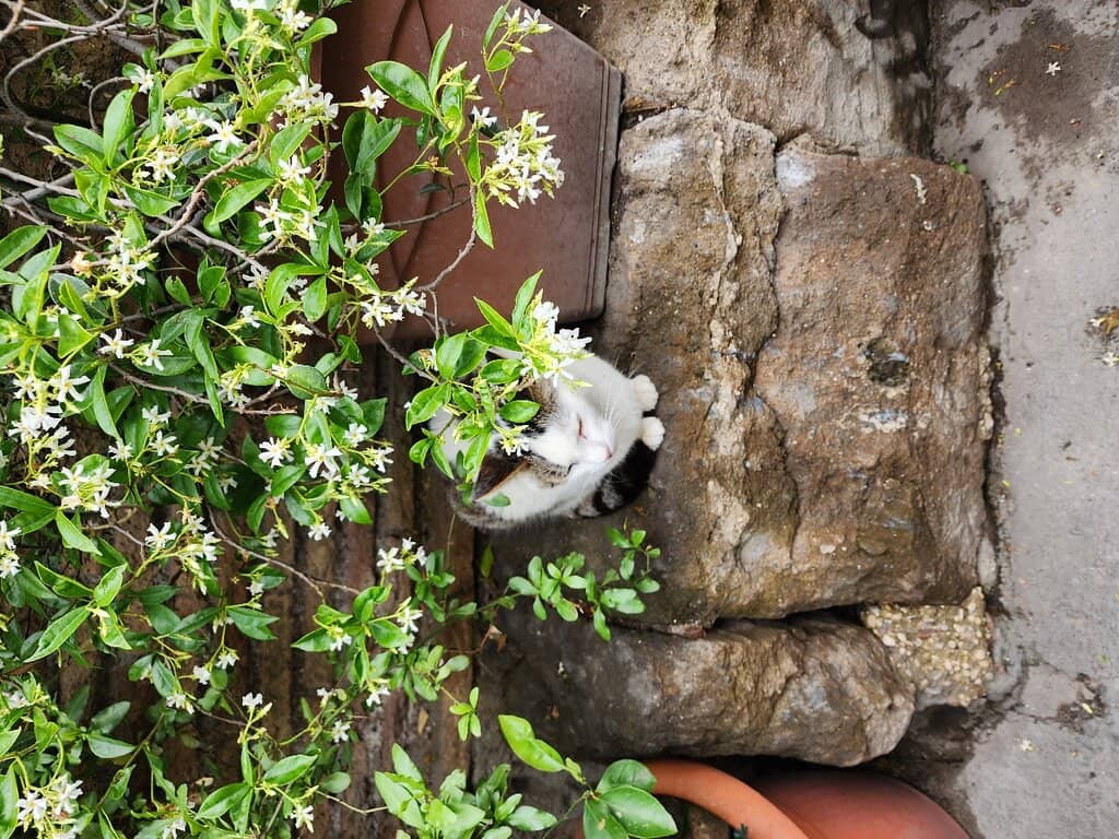 Vertical photo