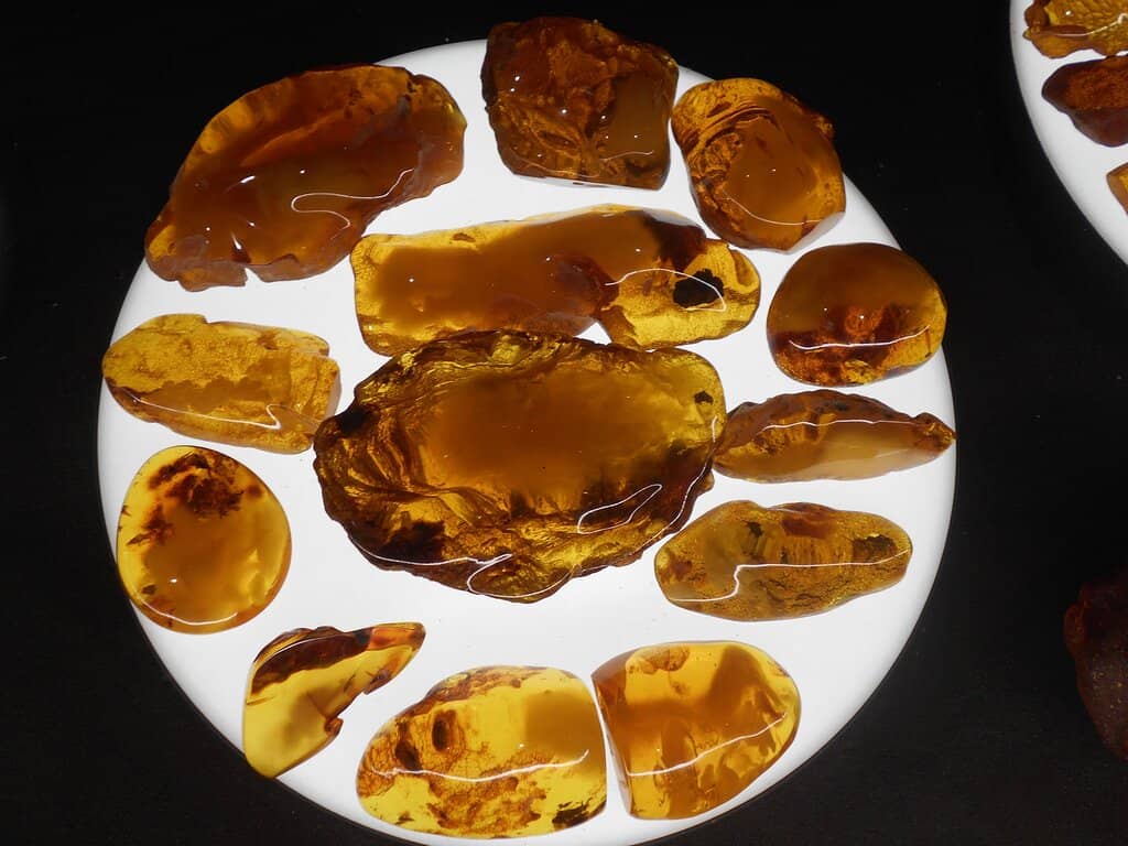 Global Amber Collection