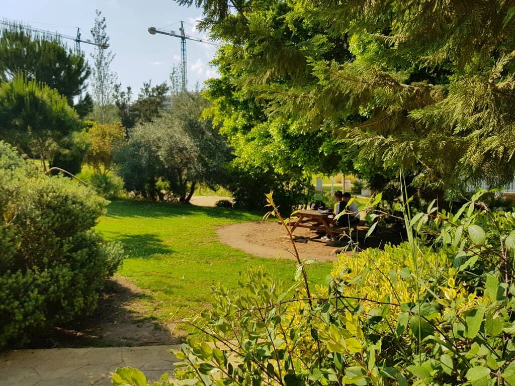 Family Play Areas