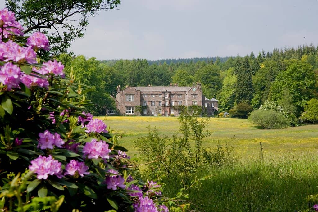 Delicious Cafe Treats
