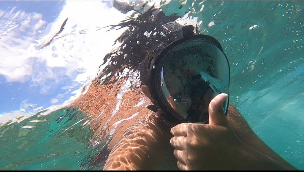Snorkeling in Crystal Waters