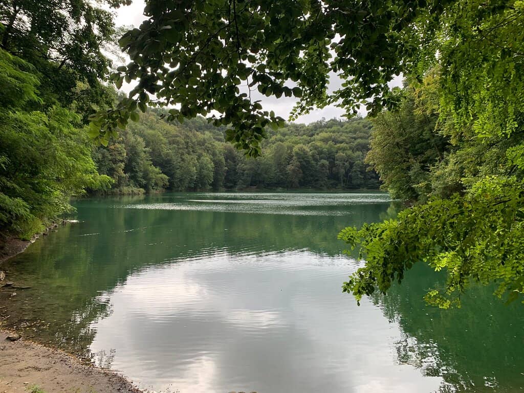 Lakeside Trail Stroll