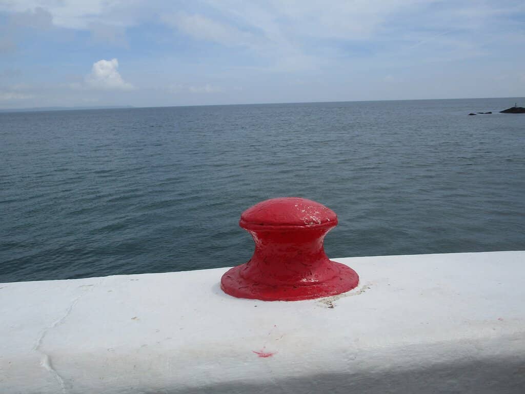 Vertical photo