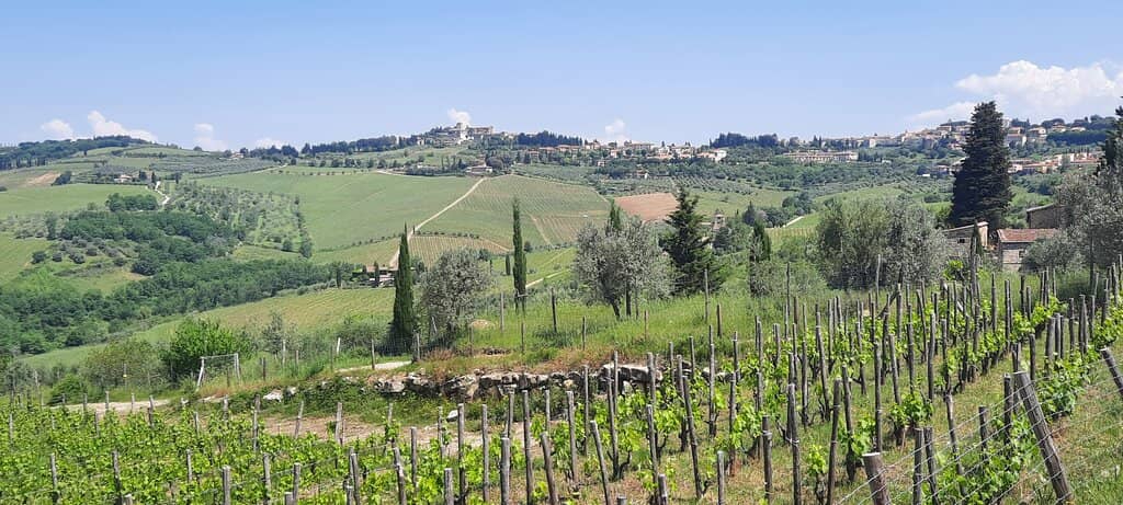 Greve in Chianti's Piazza