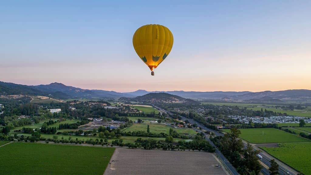 Champagne Toast Celebration