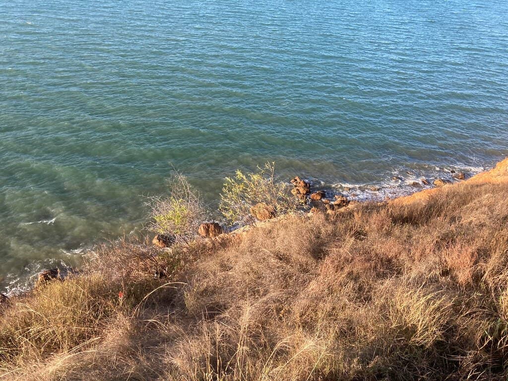 Wildlife Spotting