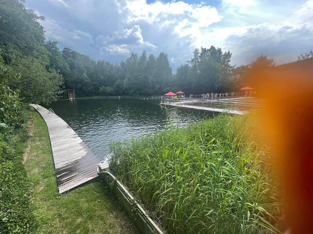 Ecological Swimming Pond