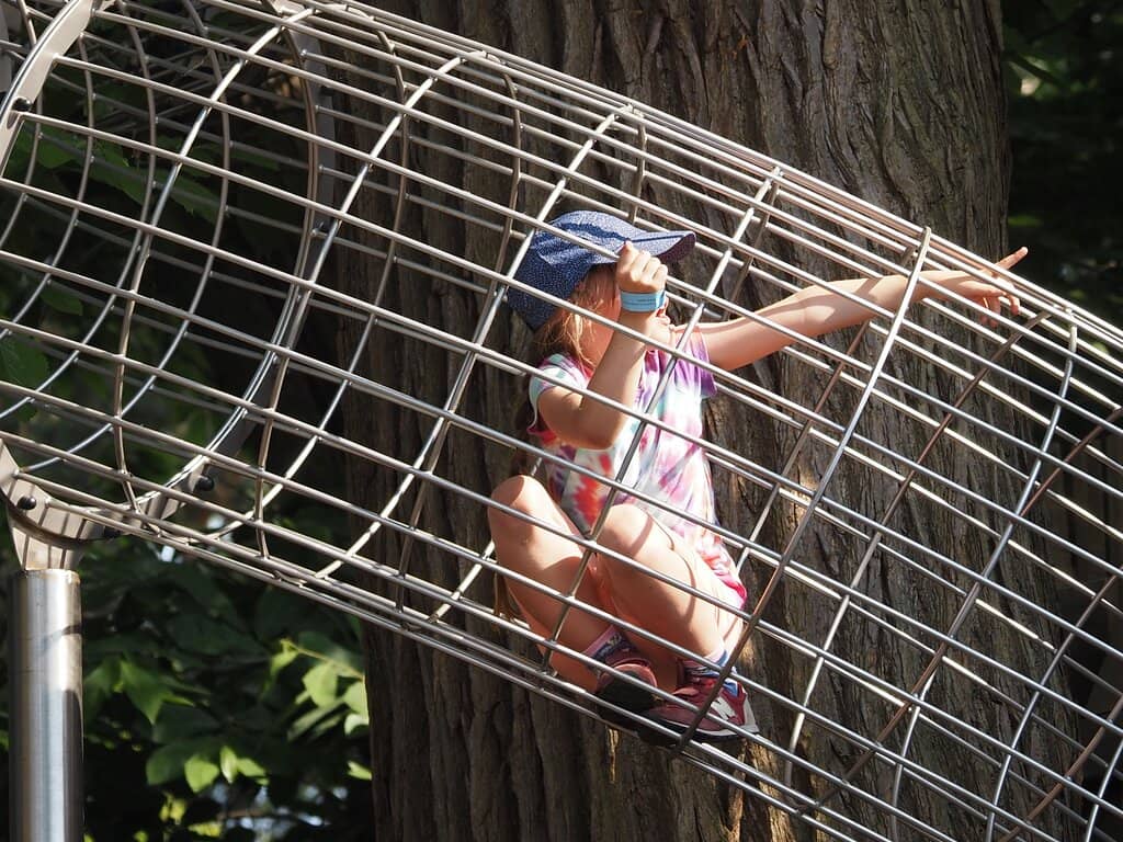 Inclusive Play for All Ages