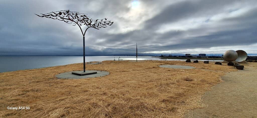 Expansive Dog Park