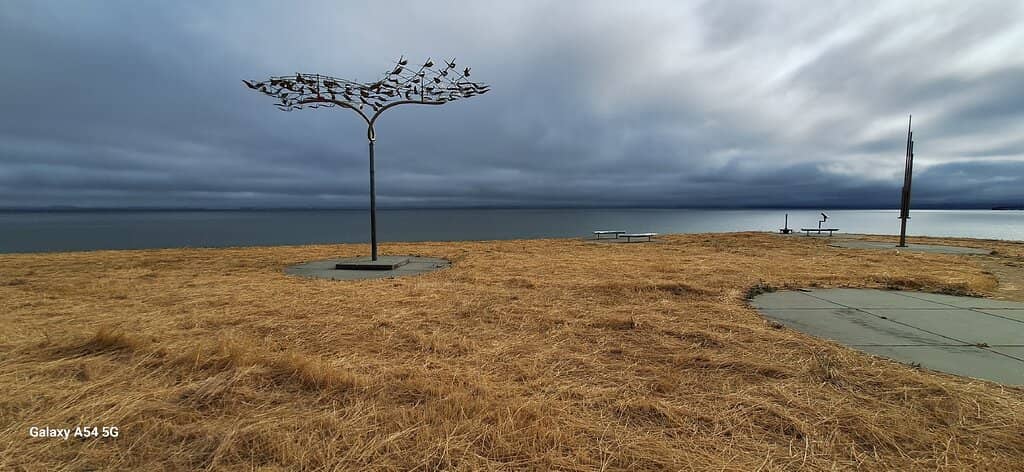 Separate Small Dog Zone