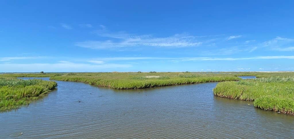 Nature Harbor & Beach